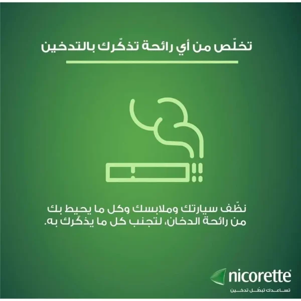 Nicorette Freshmint Nicotine Gum 2 mg – 30 Pieces